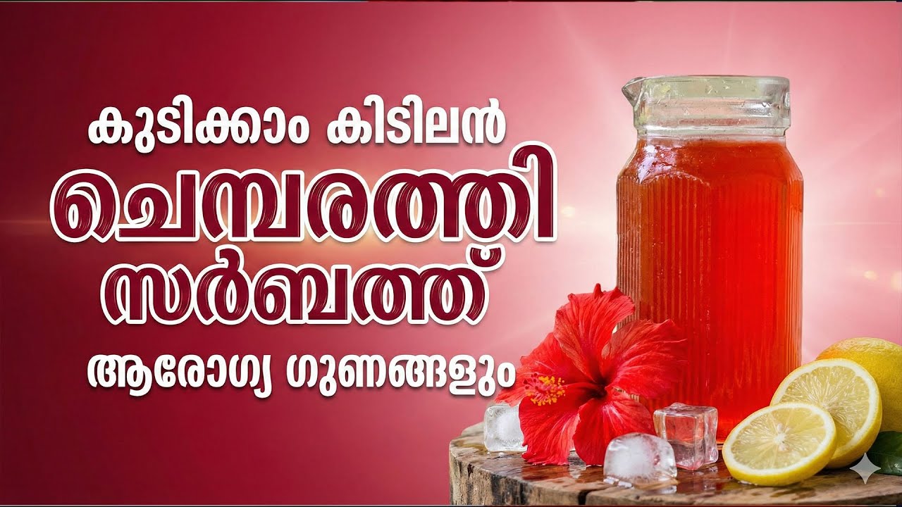 ചെമ്പരത്തി കൊണ്ട് സൂപ്പർ ഹെൽത്തി ഡ്രിങ്ക്.!! നിങ്ങൾ ചിന്തിക്കാത്ത രുചിയും ഗുണങ്ങളും‼ Hibiscus juice
