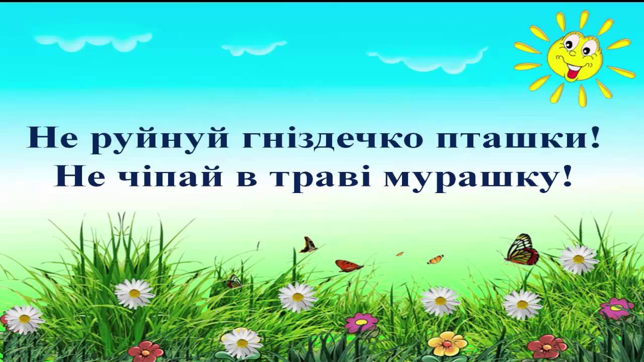 Результат пошуку зображень за запитом "збережемо природу"