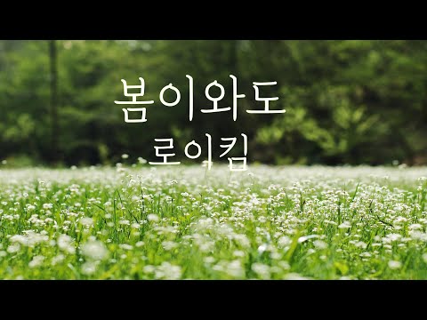 봄이와도 (2024 콘서트 version) - 로이킴