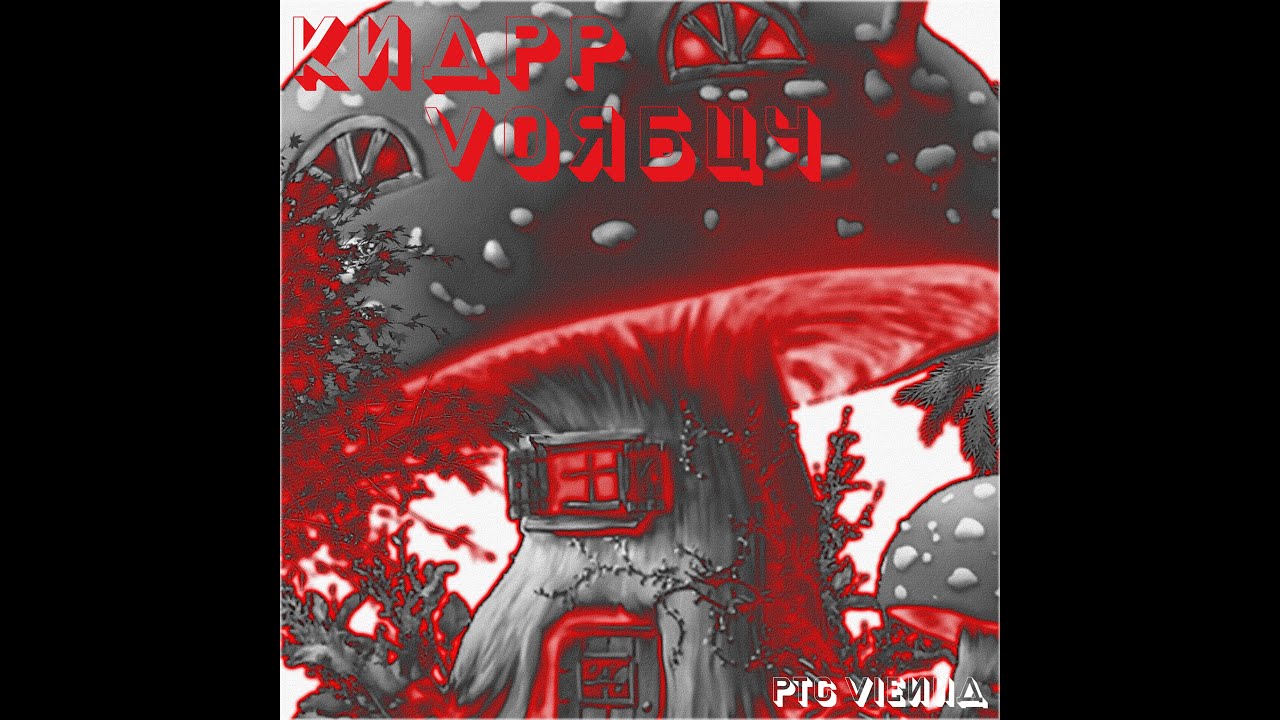 ptc vienna - KNAPP VORBUY | 2025 | chilled lofi electro dub tune | é cheap | no ai sound !!!