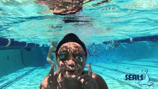 2015 Vashon SEALS - Summer Seal-a-thon