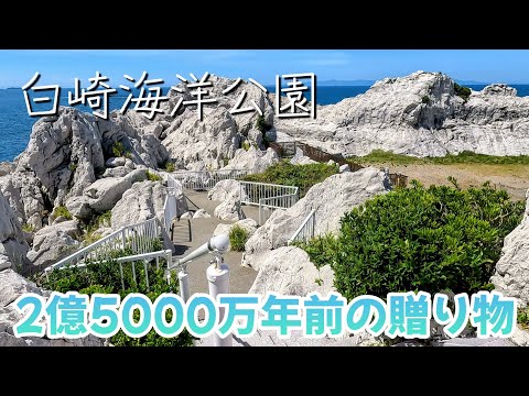 【白崎海洋公園】約2億5000万年前に形成された白亜の石灰岩。Chalk limestone formed approximately 250 million years ago.