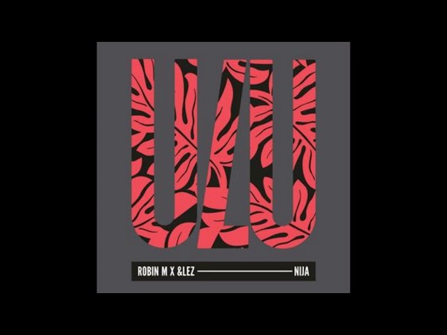 Robin M X &lez – Nija/Original Mix/ class=