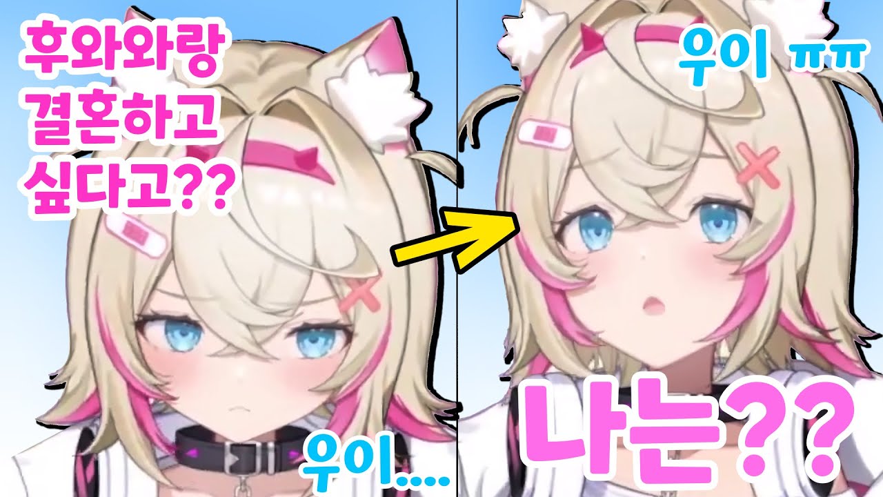 삐져버린 모코코 지켜!!!!! 시청자들의 고백에 대한 후와모코의 대답은?!?!?!