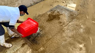 The dirty carpet from the garbage is beautiful enough for palaces-ASMR Satisfying Carpet Cleaning