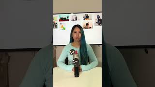 Please Dont Vote For Us  Vote Wisely Instead Of singapore  ge2025 