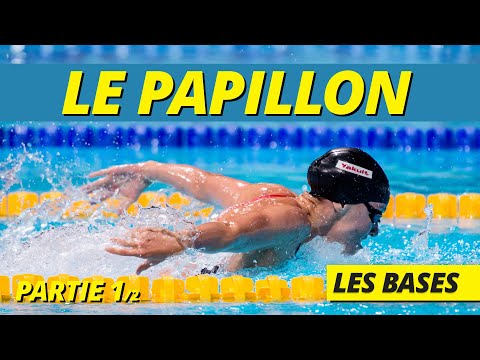 TUTO PAPILLON :