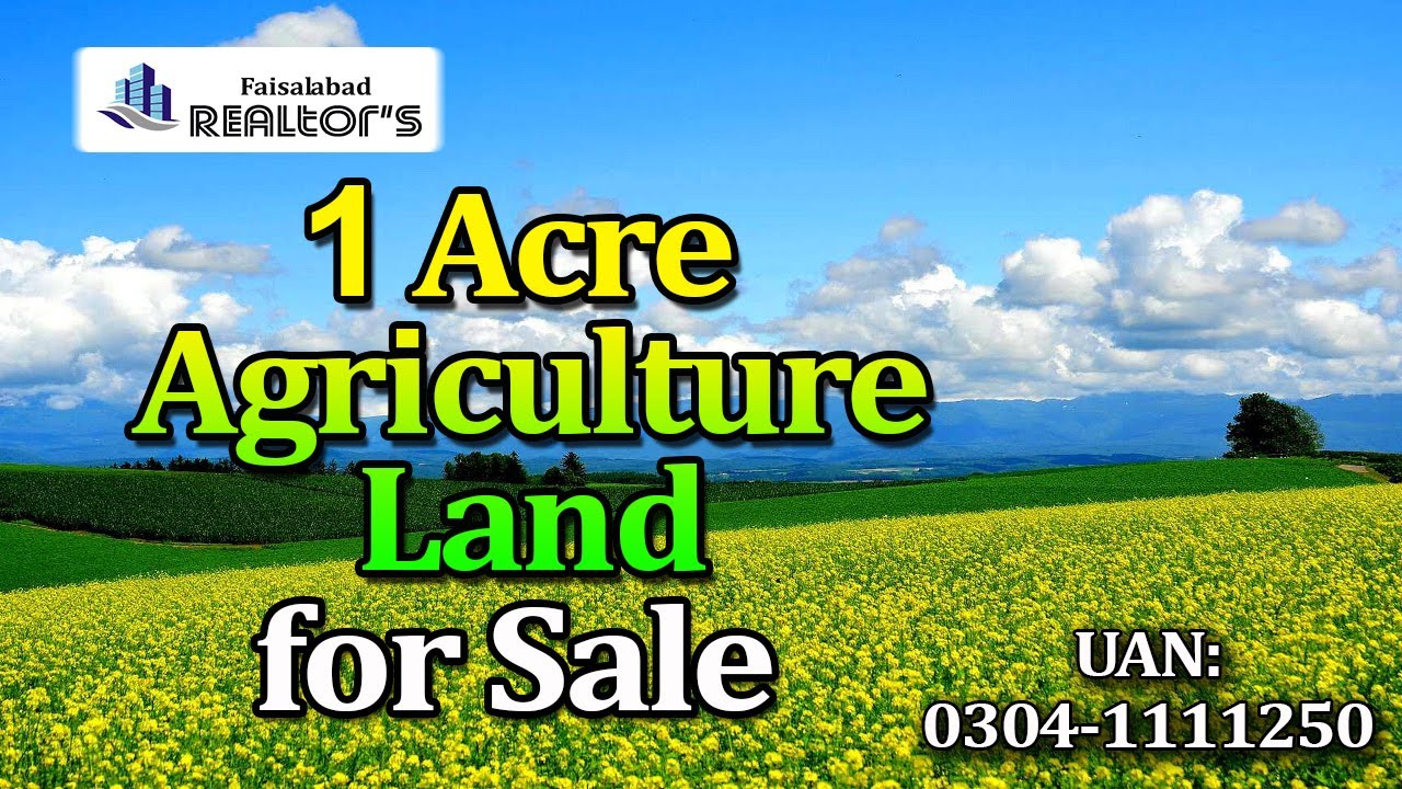 1 Acre Land for Sale in Faisalabad Punjab zameen Agriculture YouTube
