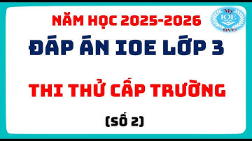 Đáp án IOE lớp 3 - Thi thử cấp trường - (Năm học 2025 - 2026) - Số 2