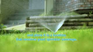 Lawn Watering Tips