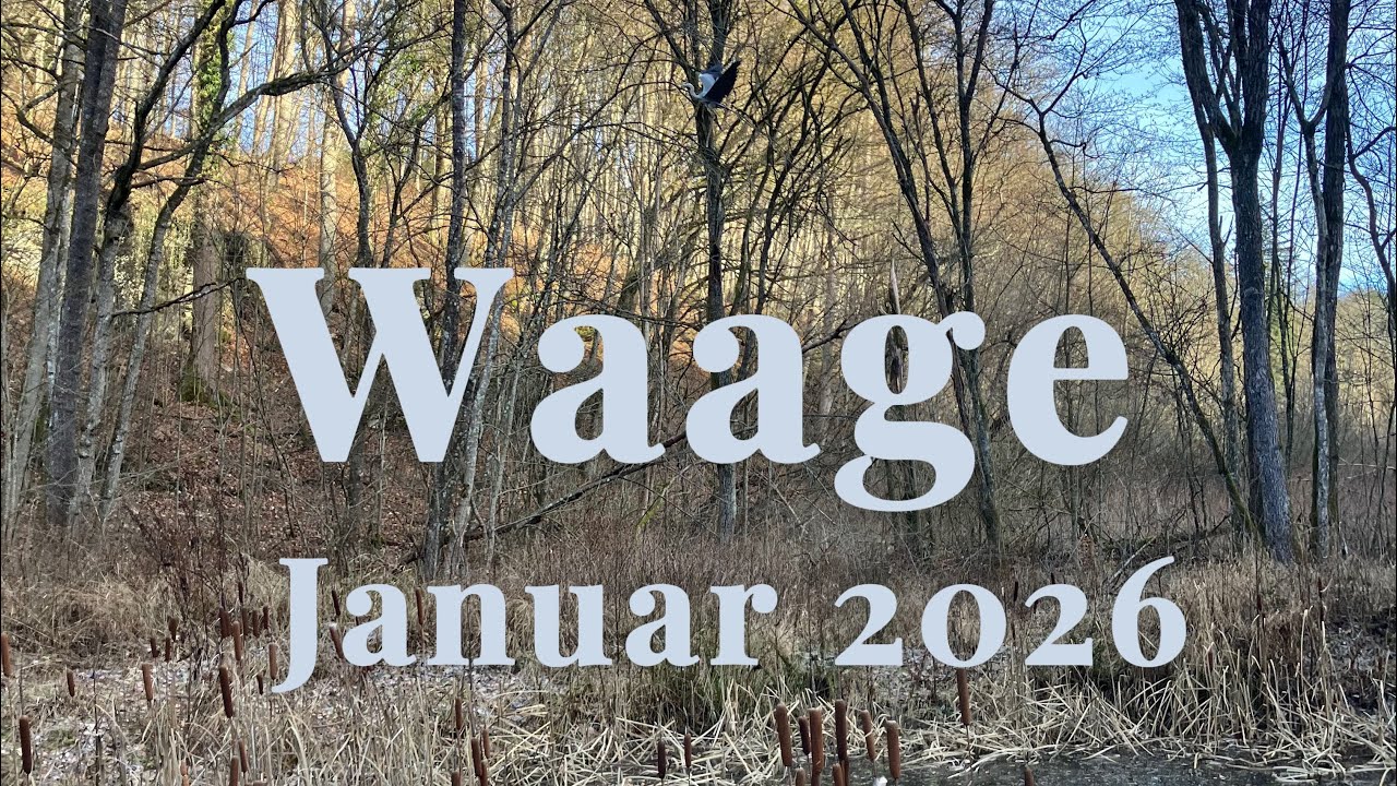 Waage ♎️ Januar 26 • Auf schicksalhafte Weise 