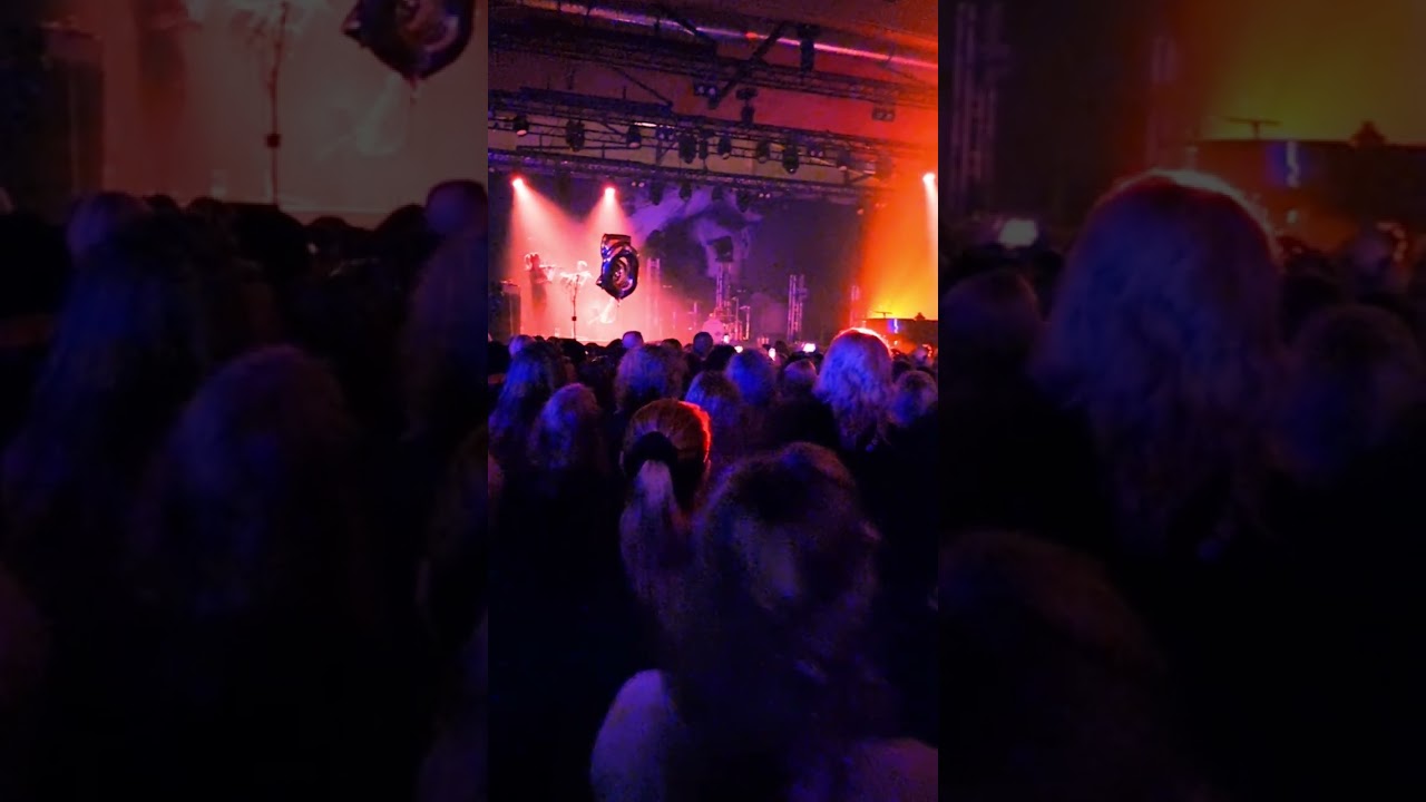 Lauri Tähkä   Lintu