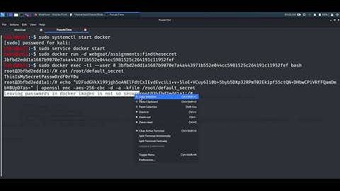 WebGoat 8 Crypto Basics Assignment