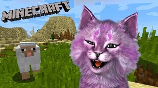 ИГРАЮ В МАЙНКРАФТ, ПОКА ЛЕО СПИТ! КОШКА ЛАНА УЧЕНИЦА ШКОЛЫ НУБОВ MINECRAFT