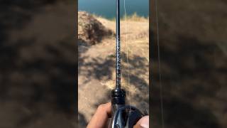เมื่อไหร่จะวันอาทิตย์  #Lemoren #กะพงบุฟเฟ่ต์ #บ่อนิวเคลียร์ #fishing