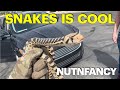 Nutnfancy Pulls Snake from Engine