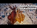 Daytime squid fishing in auckland nz