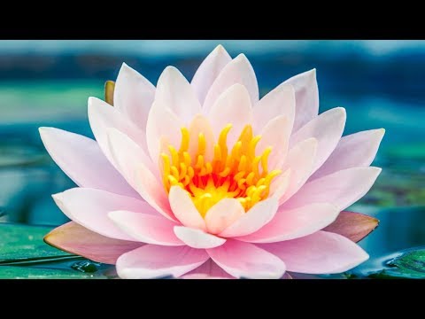India - Inner Music For Peace & Relaxation | Traditional Indian Meditation Music