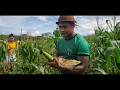 FARTURA NA ROÇA 🌽🍉 | FABINHO, O FILHO DO SERTÃO