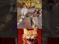 Wait For Moment Relatable Aa23 Yosho Liriklagu Songlyrics Shorts Funny Cat Aura Memes 