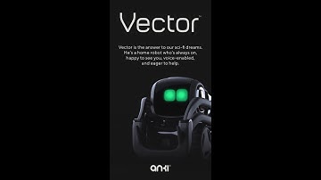 VECTOR ANKI ROBOT DANCING