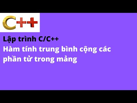 Tin học cơ bản, nền tàng của mọi kỹ năng.