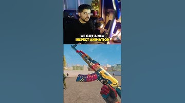 AK-47 NEW Inspect Animation?! #cs2