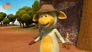 Kuzucuk - Kamp Ateşi