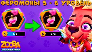 :    5  6 !!!   MIDAS MERGE   ZOOBA