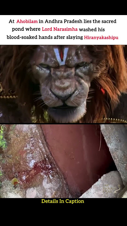 Ahobilam: Narasimha’s fury ended here #sanatandharma #spirituality #narasimha #shorts #hindudeity