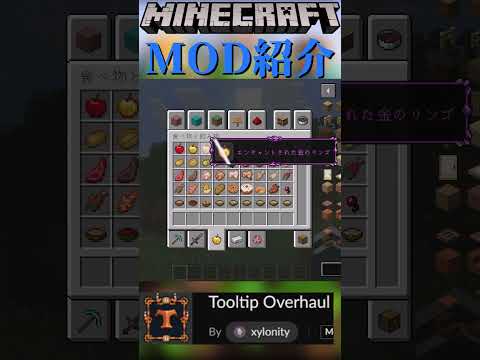 【Minecraft】アイテムの詳細UIが豪華になるMOD『Tooltip Overhaul』【MOD紹介】#shorts