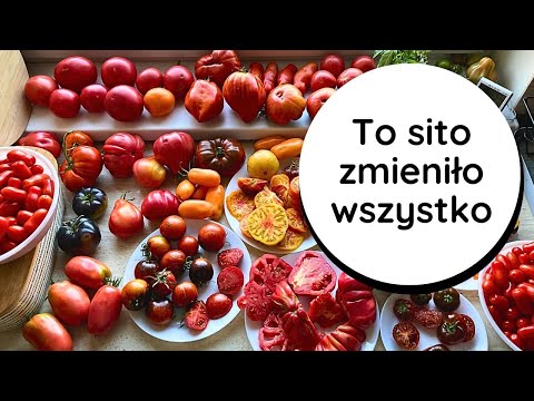 💥My REVOLUTION in Making Velvety Purees 🍅 FAST and EFFORTLESS! Kuvings Puree Sieve