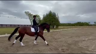 Download Lagu Renata Aug 2025 MP3