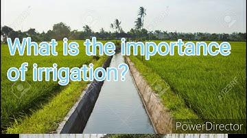 Importance of Irrigation (Informative video)