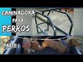 CAMINADORA PARA PERROS (Parte 1) Made in Uruguay 🤣👍🇺🇾