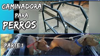 CAMINADORA PARA PERROS (Parte 1) Made in Uruguay 🤣👍🇺🇾