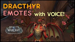 Dracthyr Male/Female Flirts & Jokes! Dragonflight WoW Beta 10.0