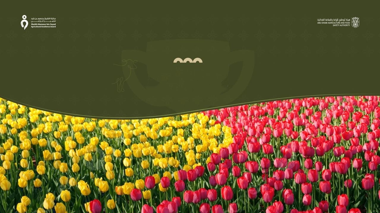 تكريم المشاركين في مهرجان الوثبة النباتي