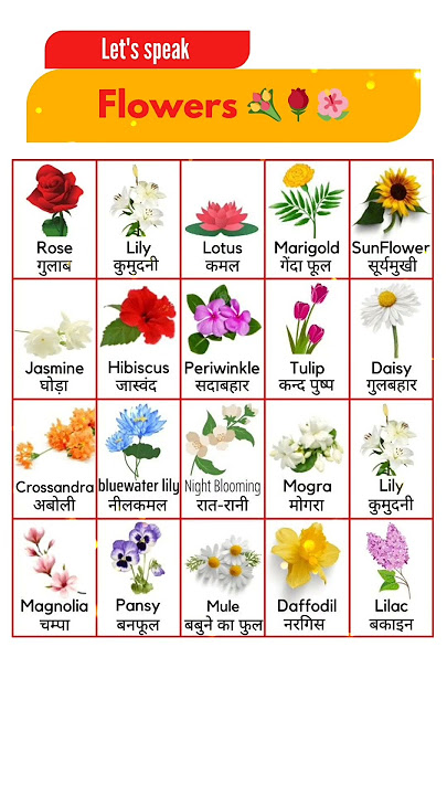 Flowers Name in English and Hindi with Picture 🌺