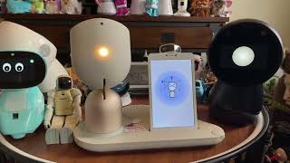 Jibo & Friends  Saturday Livestream (April Fool's Jokes)