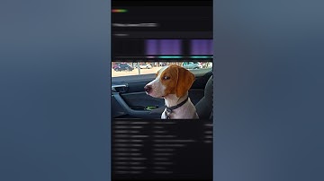 ثلاث نصائح للمبرمجين     #برمجة #بايثون #تعلم_برمجة #تصميم_تطبيقات #برمجيات #اكسبلور #جابتفاسكري