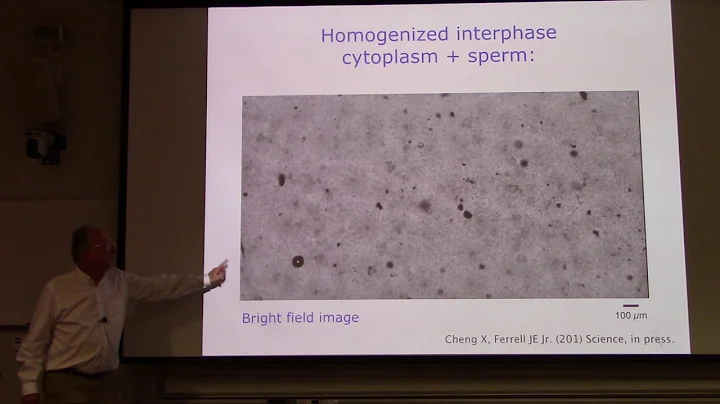 James Ferrell  (Stanford) on "Can Living Cells Assemble Themselves?"