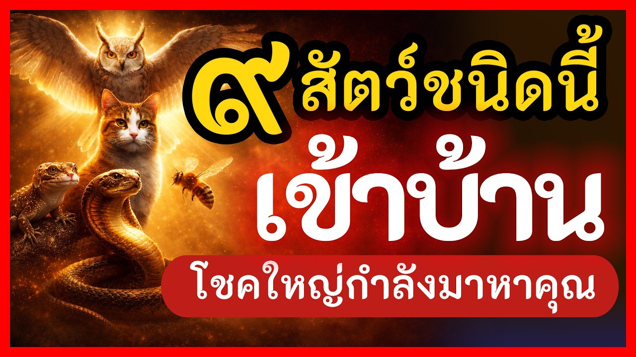 หากเจอสัตว์ 9 ชนิดนี้ เข้าบ้าน โชคลาภก้อนใหญ่ กำลังมาหาคุณ | แสงธรรม ส่องตำนาน