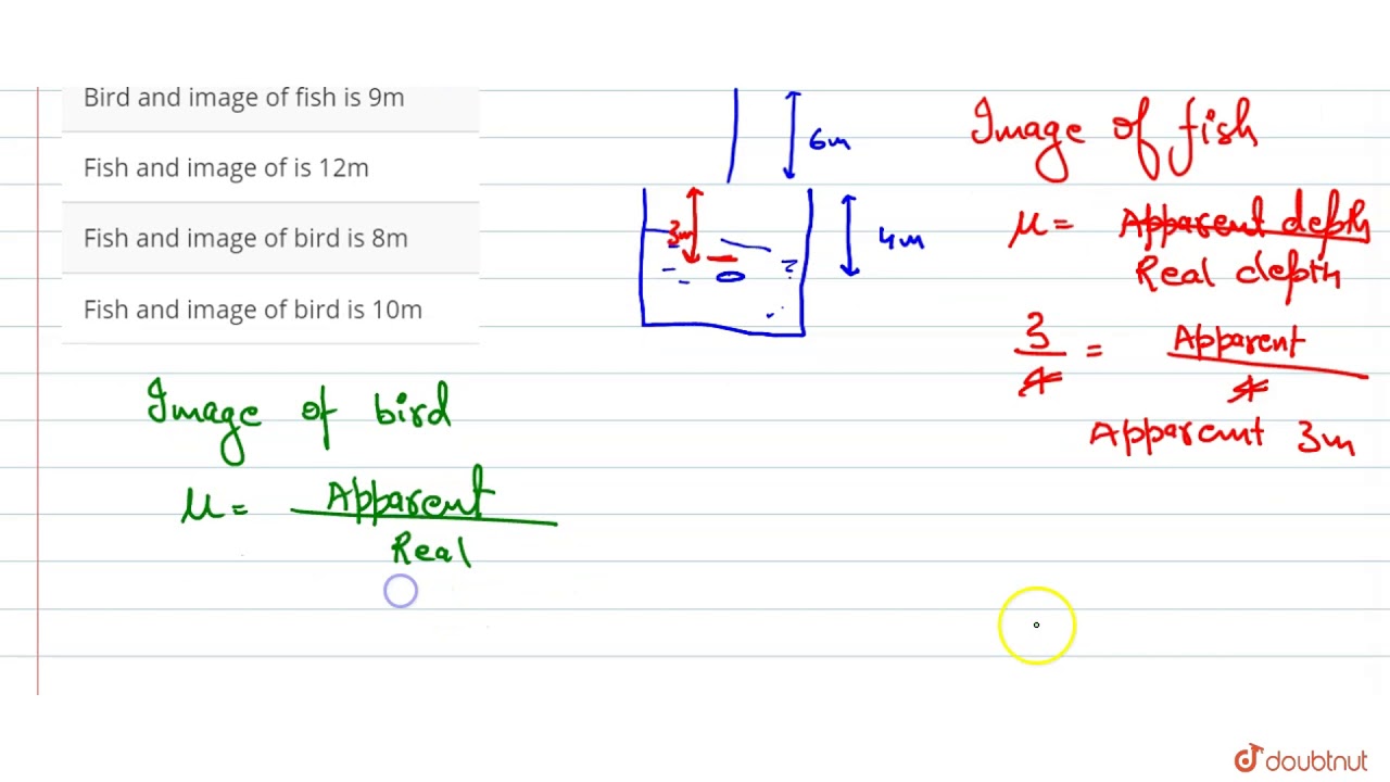 A Fish Lies At The Bottom Of A 4 M Deep Water Lake A Bird Flies 6m Above The Water Surface And 