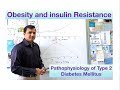 Pathophysiology of type 2 Diabetes Mellitus