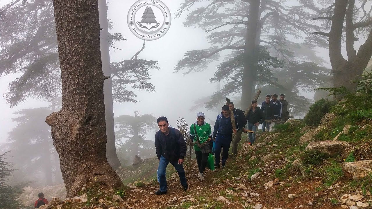 نزهة استكشافية إلى قمة سيدي عبد القادر بأعالي جبال الونشريس ببلدية بوقائد و لاية تيسمسيلت . الجزائر