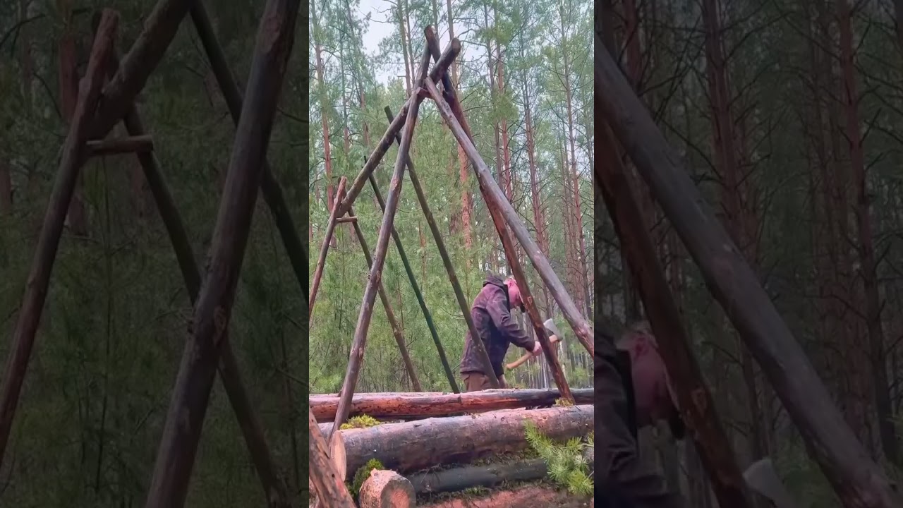 ASMR BUILD A WARM LOG CABIN IN 24 HOURS - Survival Bushcraft.