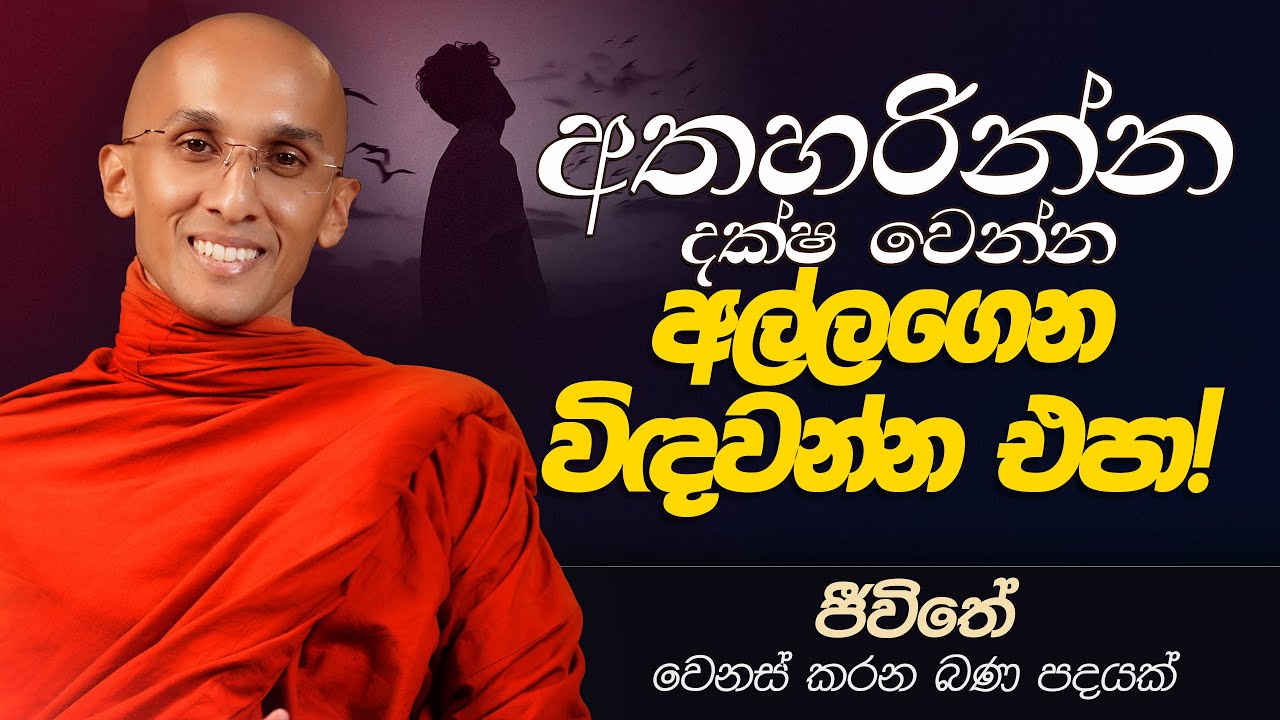 56. අතහරින්න දක්ෂ වෙන්න. අල්ලගෙන විදවන්න එපා! | ජීවිතය වෙනස් කරන බණ පදයක් | 2025-01-03