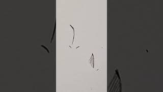 HOW TO DRAW NOSES - (Simple). #manga #drawingtutorial