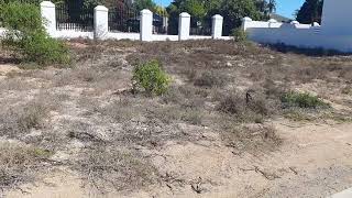 134 22nd st Shelley Point